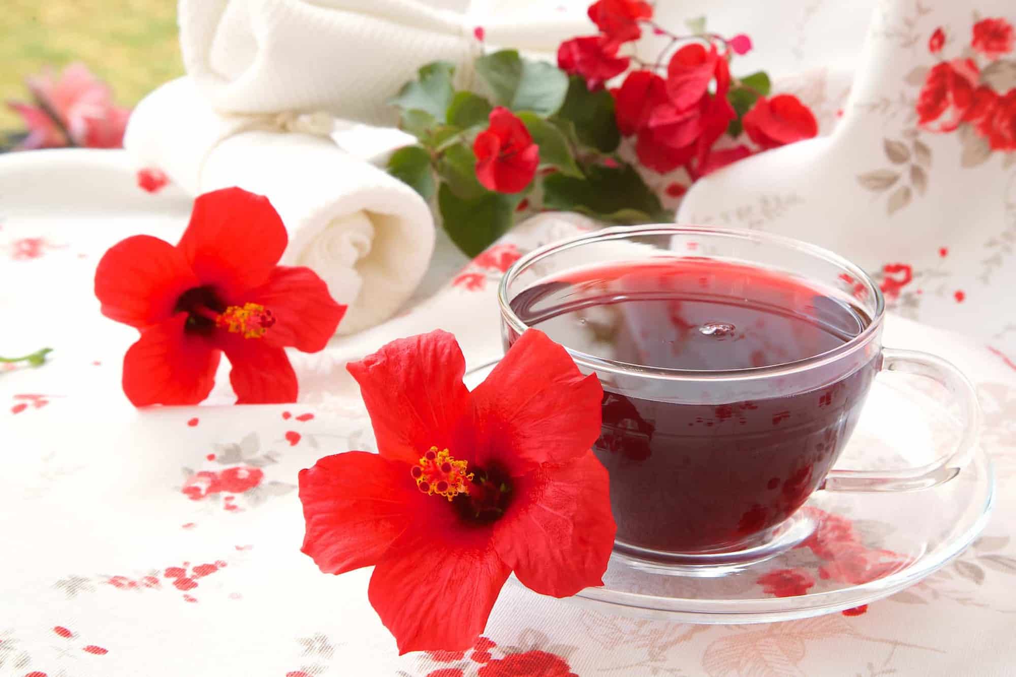 Bất ngờ trước loại trà Karkade được làm từ hoa dâm bụt ở Ai Cập